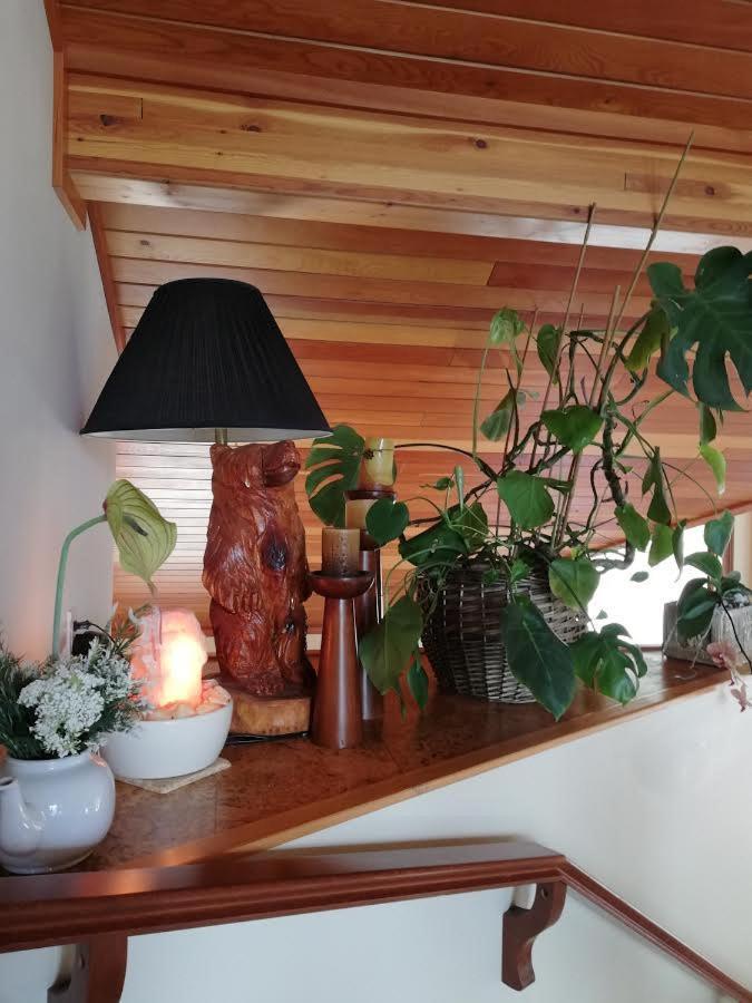 High Hopes Bed And Breakfast المظهر الخارجي الصورة